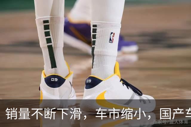 销量不断下滑，车市缩小，国产车企的艰难前行之路
