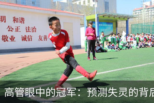 高管眼中的冠军：预测失灵的背后与马刺的未来